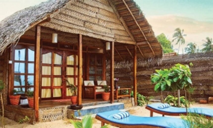 Discover the gem that is Agonda