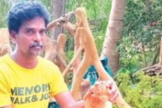 Discovering design in roots and branches: Inside the art of Arborik with Moira’s Augustin Coelho