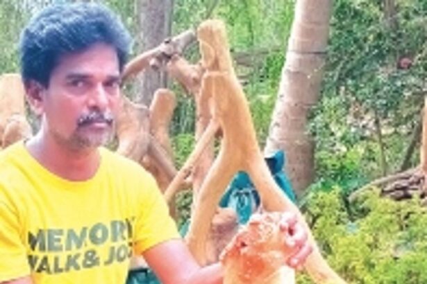 Discovering design in roots and branches: Inside the art of Arborik with Moira’s Augustin Coelho