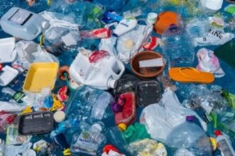 Disposable plastic to be phased out by early next year