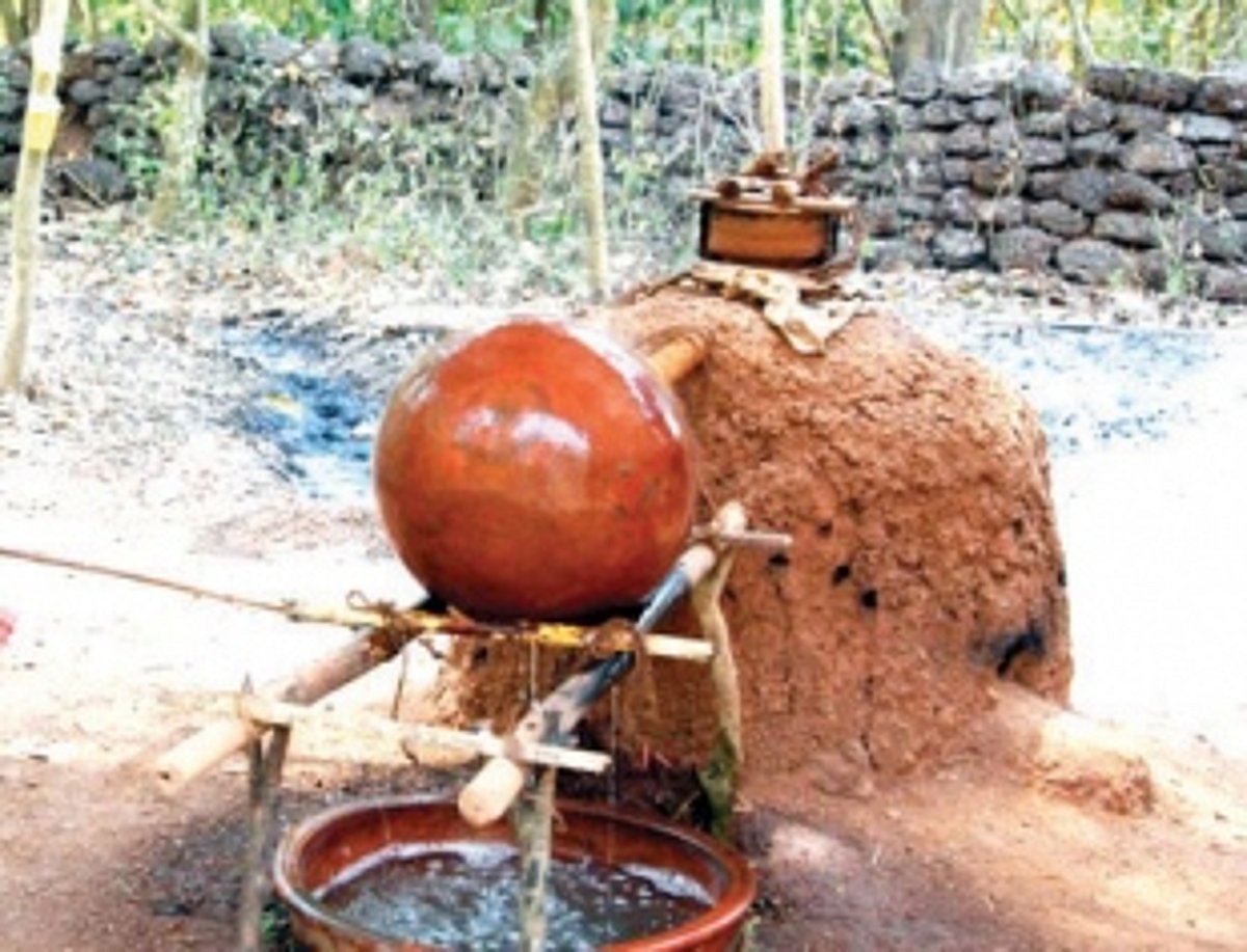 Distillers expect a fenitastic season this year