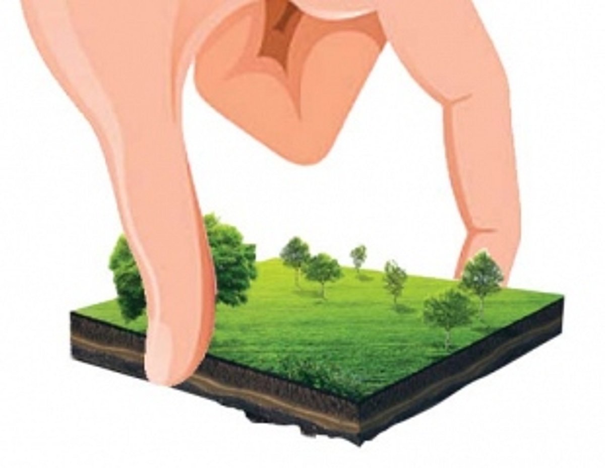 Distraught homeless Verna family heaves sigh of relief as govt allots plot of land