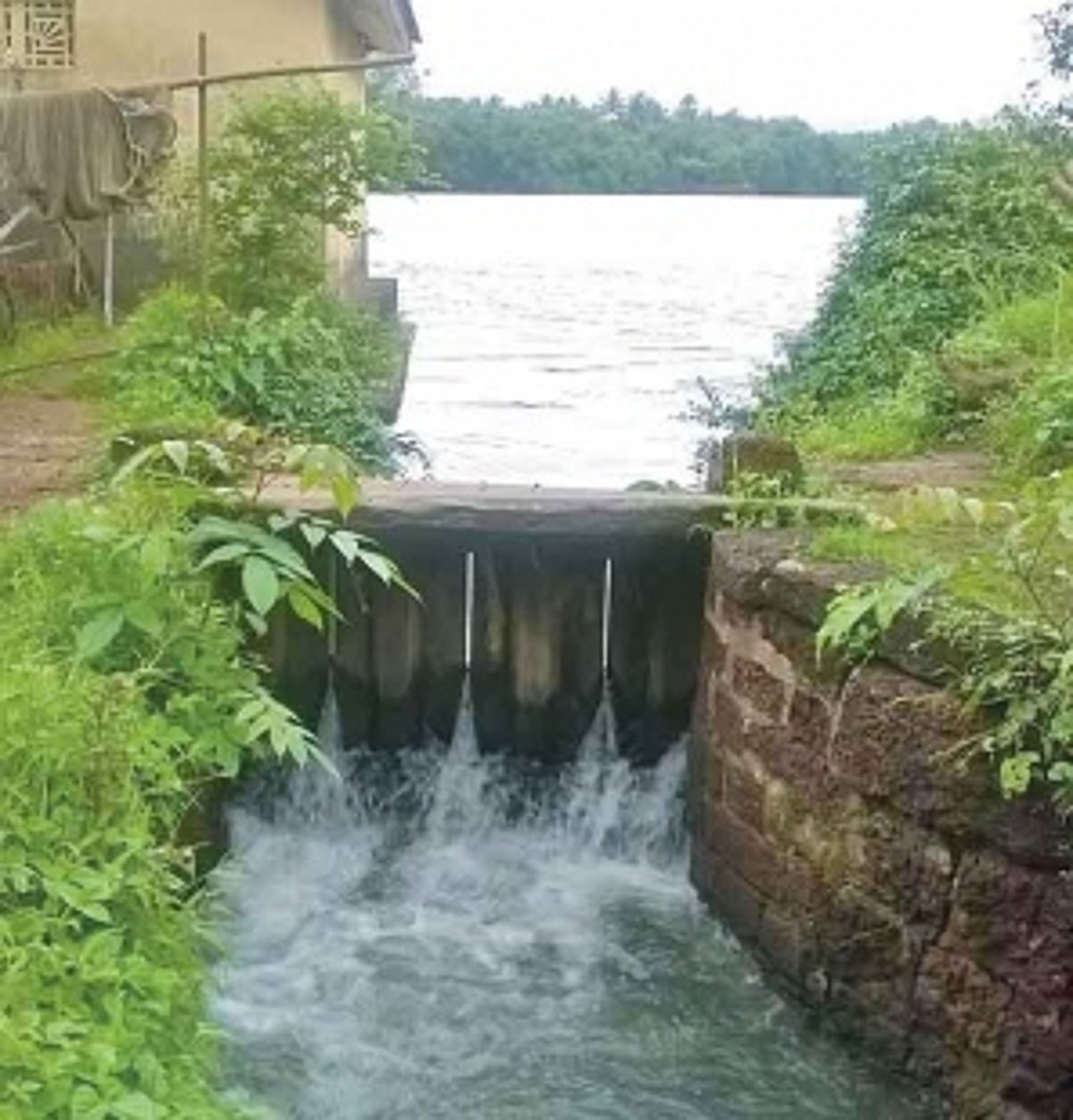 Divar Island happy to live without a sea of opportunity