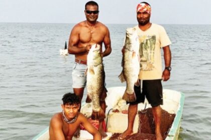 Diversion to commercialisation draining affluence of fish diversity