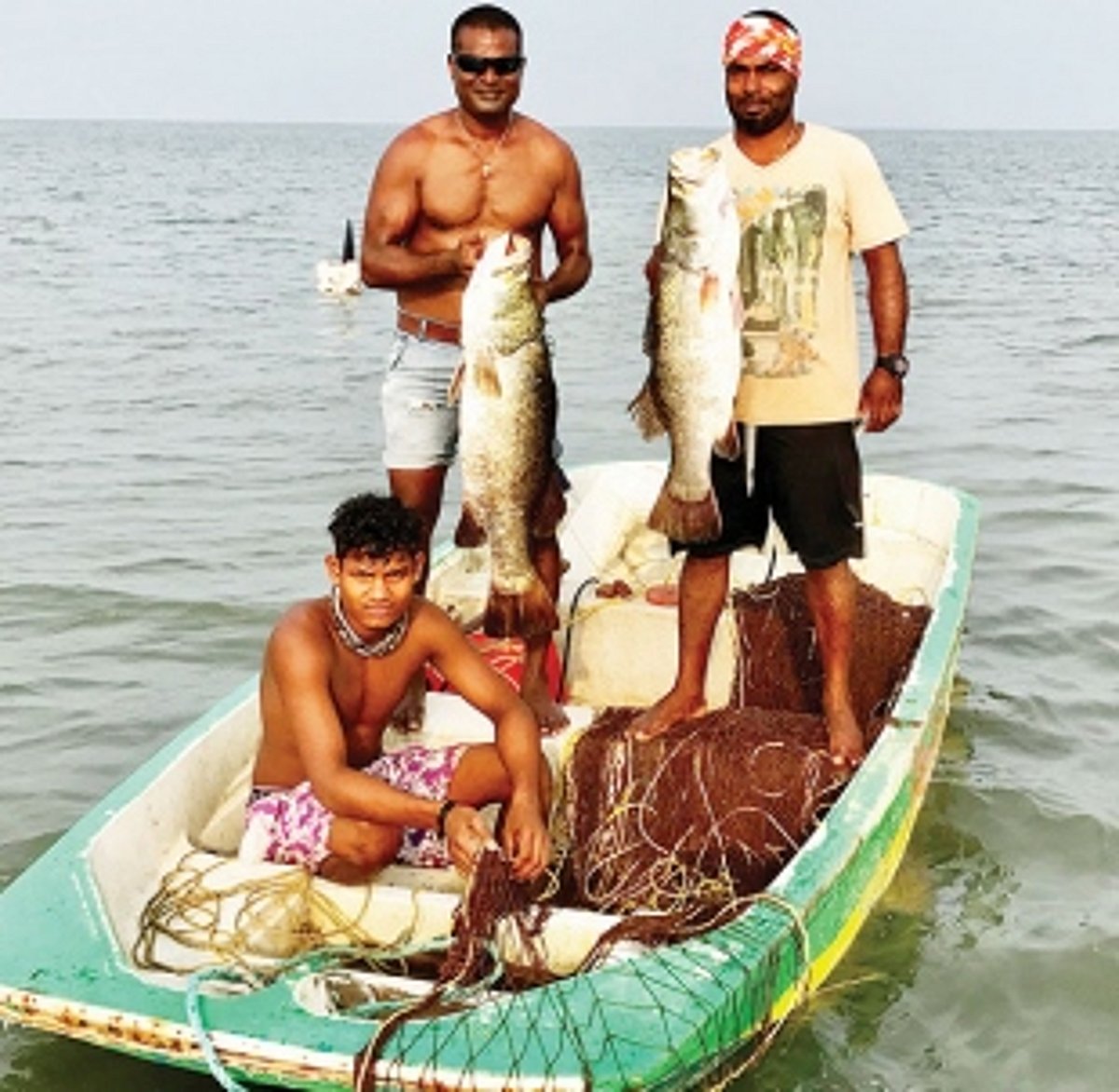 Diversion to commercialisation draining affluence of fish diversity