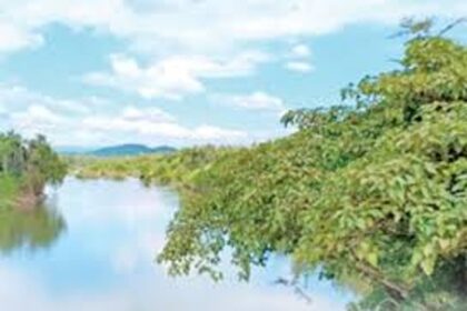 Diverting Mhadei waters will doom Goa and N Karnataka: Environmentalists