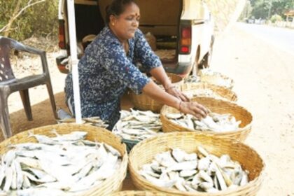 Do Goans make provisions or Purument today, or is the tradition long forgotten?