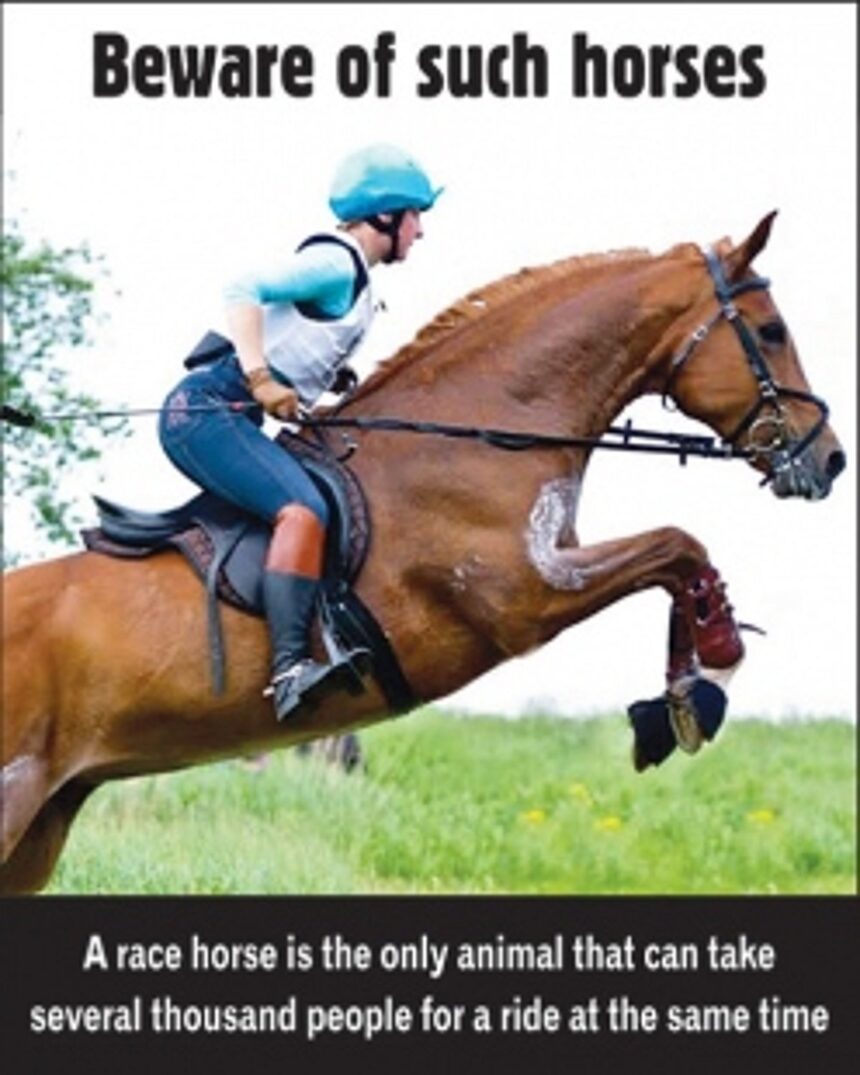 Do defector MLAs get any sleep?