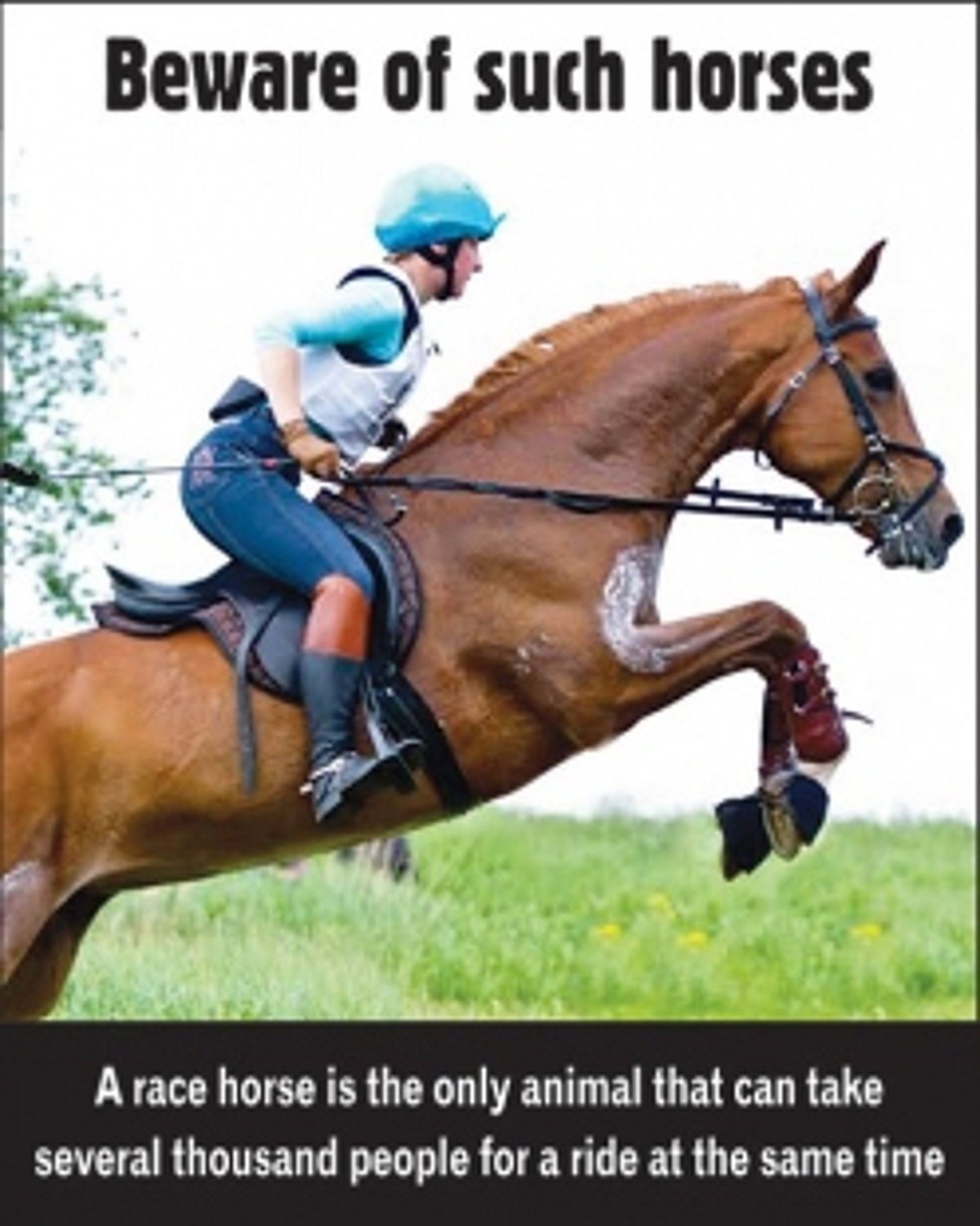 Do defector MLAs get any sleep?