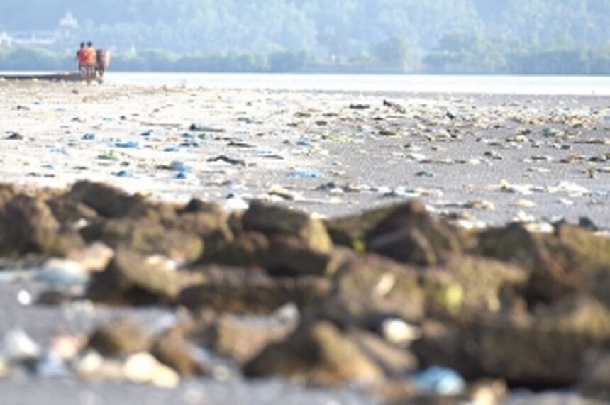 Do not spoil beauty of Goan beaches