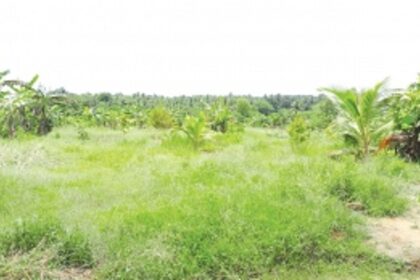 Do we need to produce engineers by killing our farms, ask Sanguem farmers