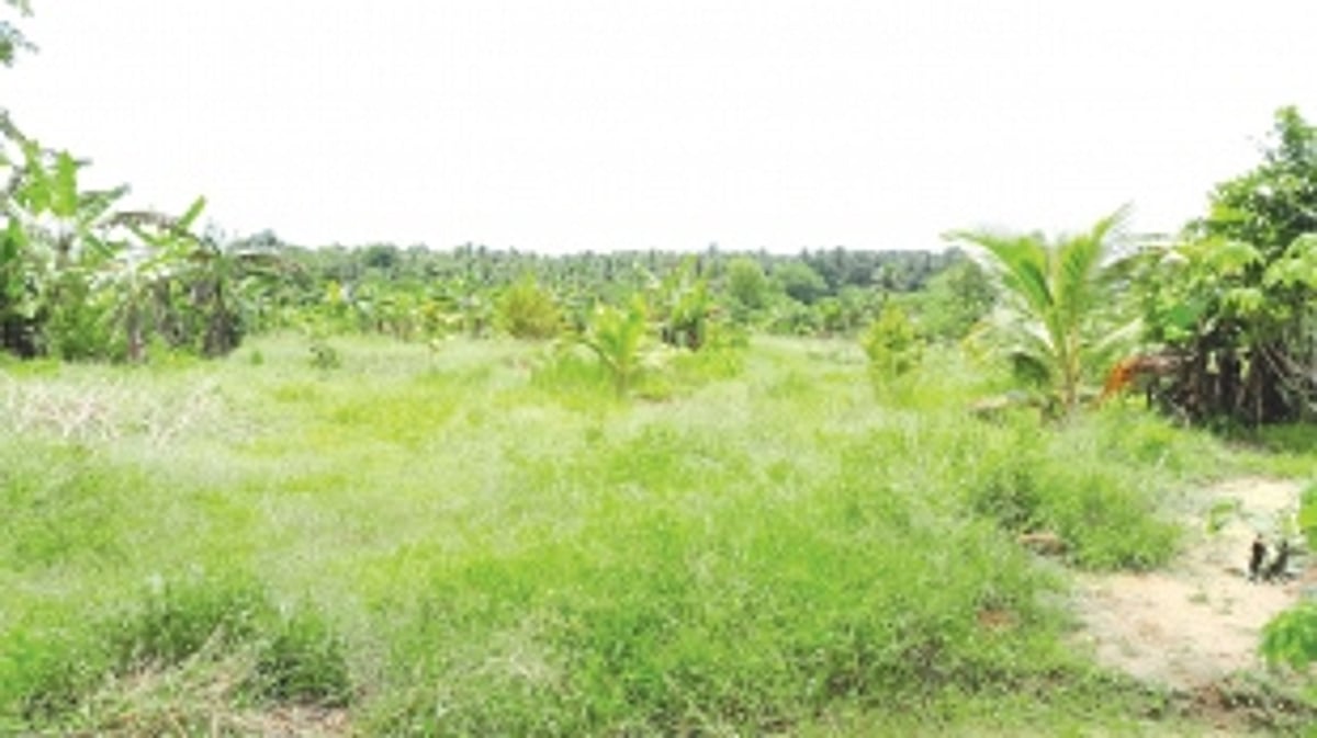 Do we need to produce engineers by killing our farms, ask Sanguem farmers