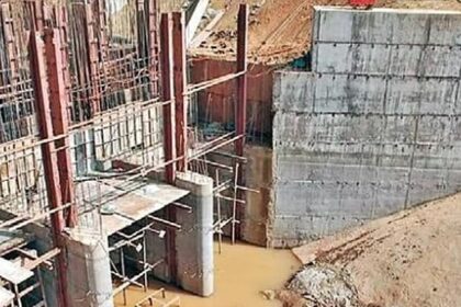 Do you believe that Goa government will be able to save Mhadei?