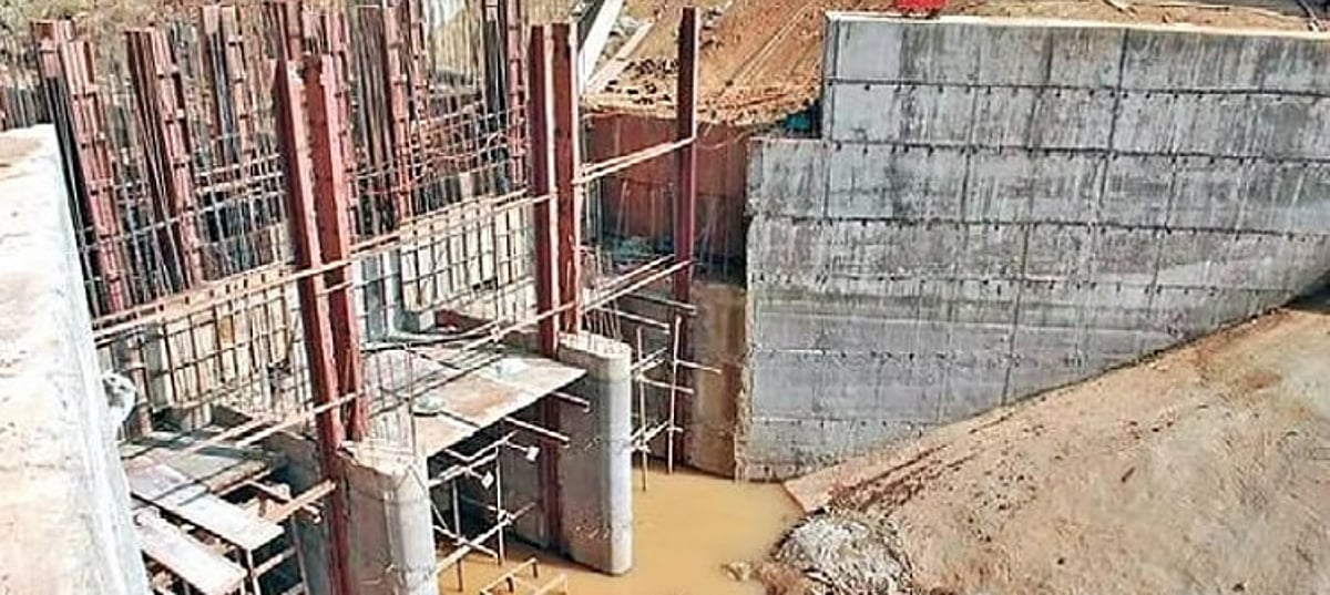 Do you believe that Goa government will be able to save Mhadei?