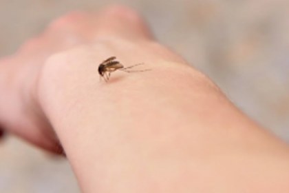 Doctors guide Mormugao taluka against vector borne disease