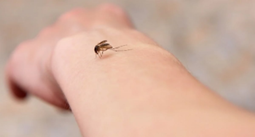 Doctors guide Mormugao taluka against vector borne disease