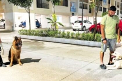 Dog whisperer Guddi Notandas helps transform ‘problem pets’ into loving companions