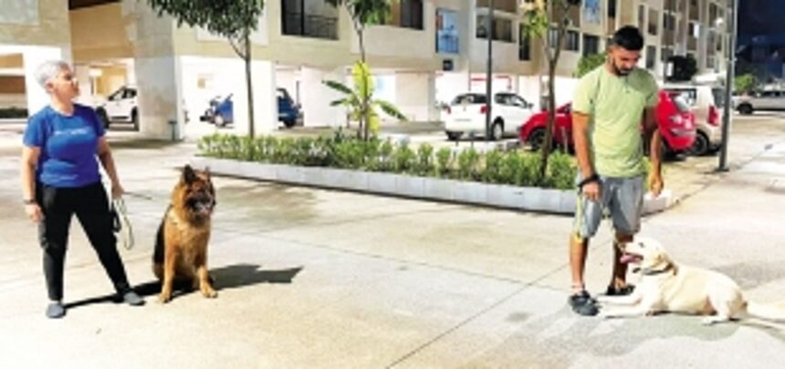 Dog whisperer Guddi Notandas helps transform ‘problem pets’ into loving companions