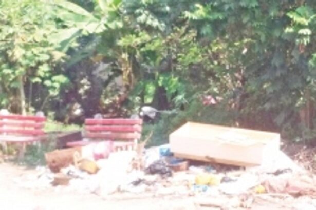 Don’t dump garbage next to  public benches at Vasco