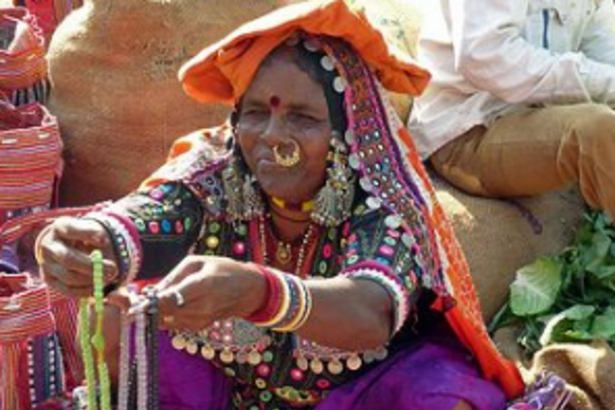 Don’t include Banjaras under  ST, SC: ex-ZP member