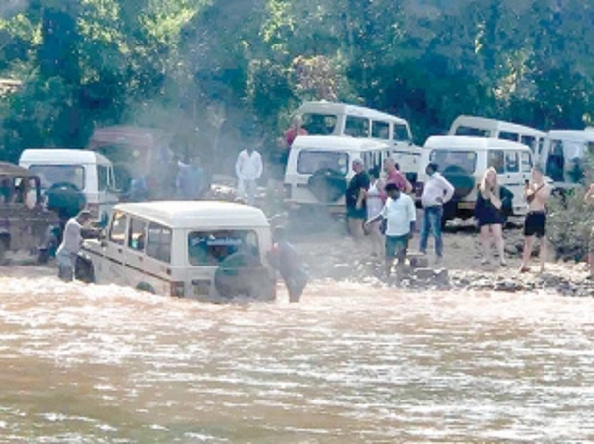 Double tracking will destroy the beauty  of Dudhsagar Falls: Collem villagers