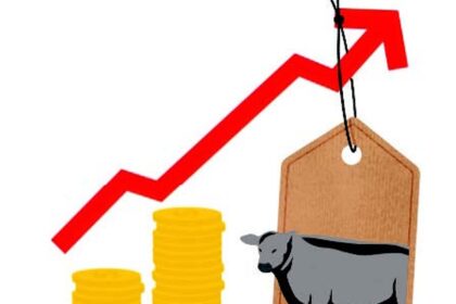 Double whammy of scarcity and price hike plague beef vendors