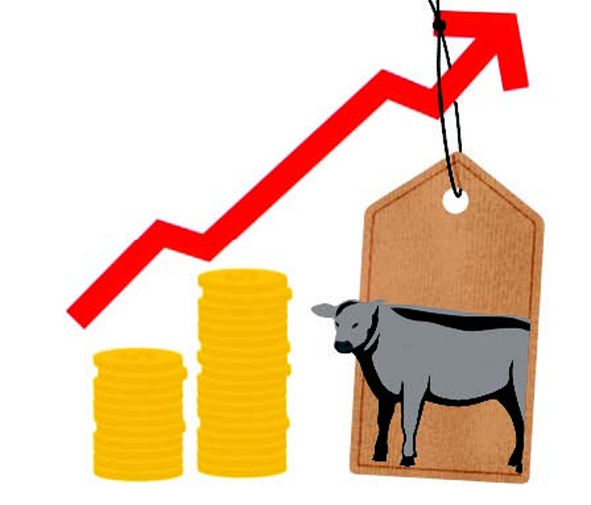 Double whammy of scarcity and price hike plague beef vendors