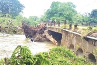 Downpour in Sanguem floods Valshem bridge, fells mango tree