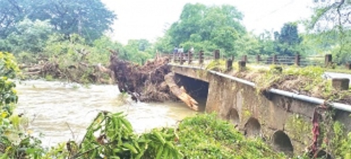 Downpour in Sanguem floods Valshem bridge, fells mango tree