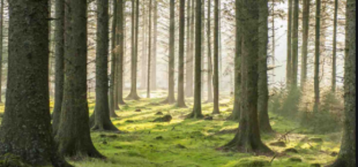 Draft ODP 2030: Chicalim submits resolution copies