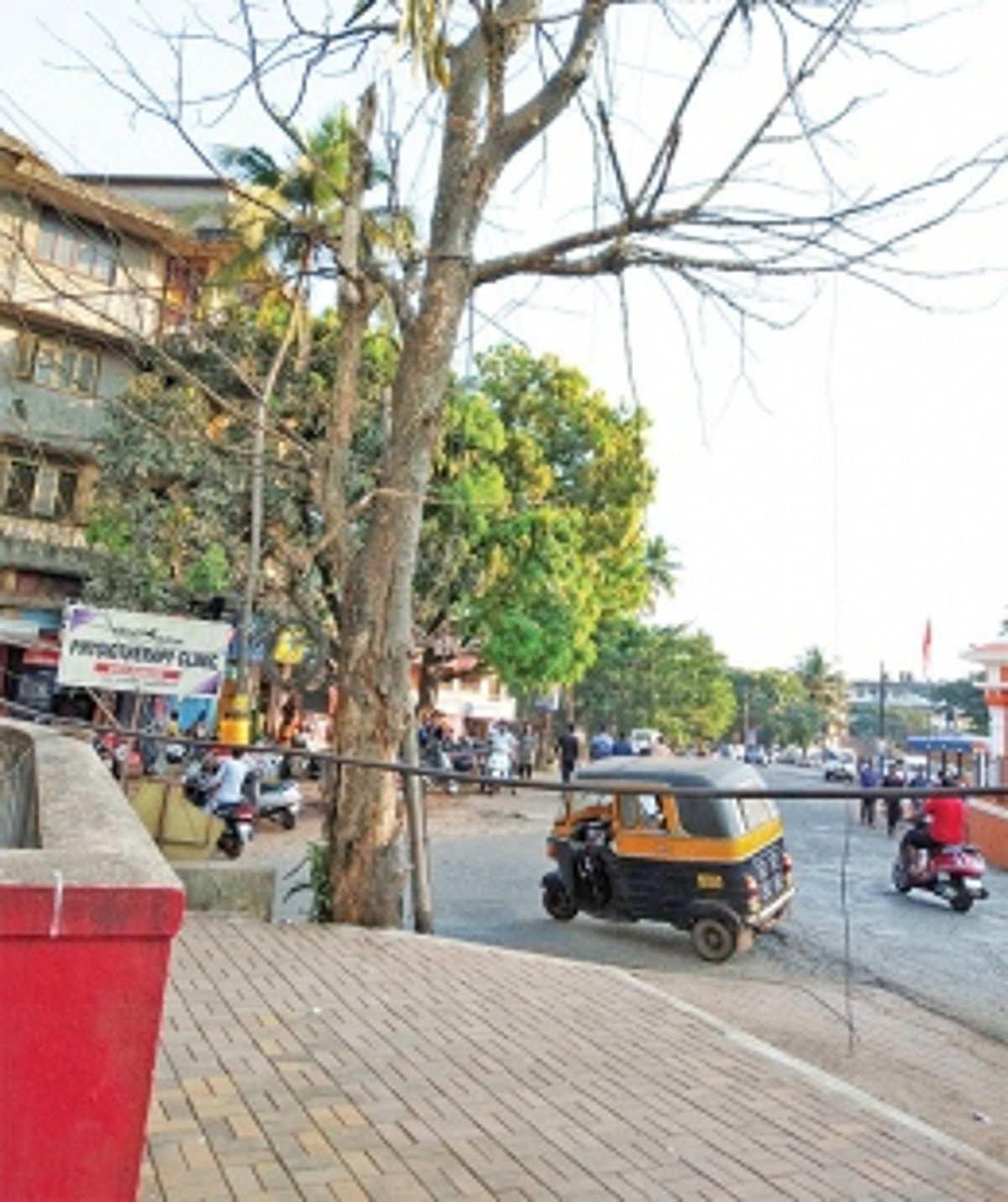 Dried up tree posing danger  to commuters in Ponda