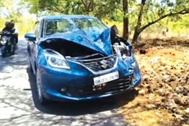 Driver escapes unhurt after hitting stray cattle on Mapusa-Siolim road