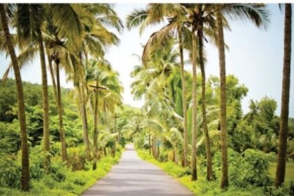 Drug stories make news but alcoholism is breaking more homes in Goa