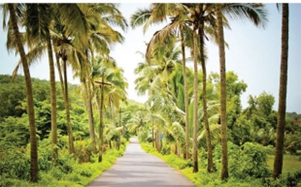 Drug stories make news but alcoholism is breaking more homes in Goa