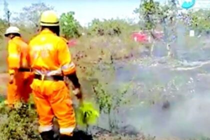 Dry grass catches fire at Colvale