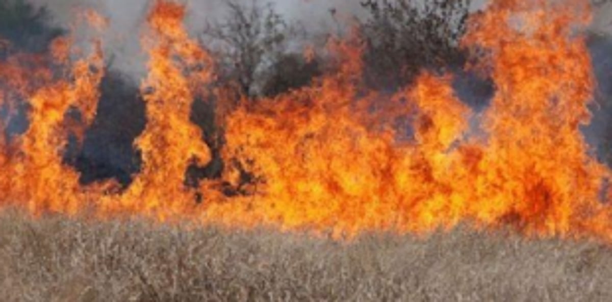 Dry grass catches  fire at Sancoale