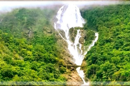 Dudhsagar Falls Tourism Halted: Local Businesses Suffer Amid Jeep Operators and GTDC Clash