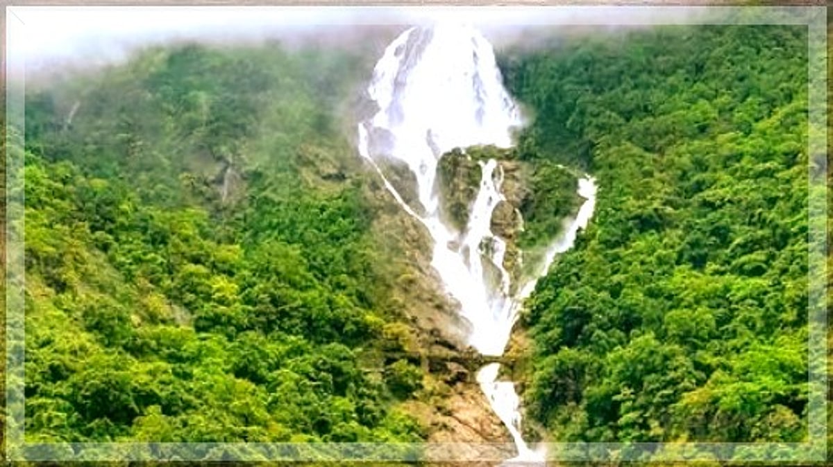 Dudhsagar Falls Tourism Halted: Local Businesses Suffer Amid Jeep Operators and GTDC Clash