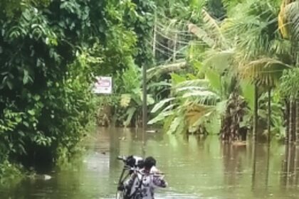 Dudhsagar River level rises, roads in Davkon, Nirankal underwater