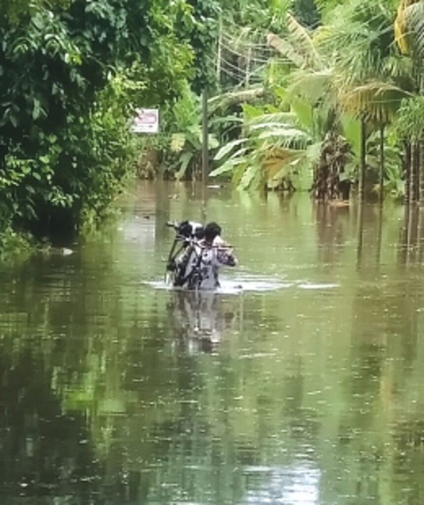 Dudhsagar River level rises, roads in Davkon, Nirankal underwater