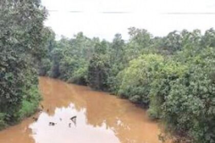 Dudhsagar at Khandepar turns muddy again