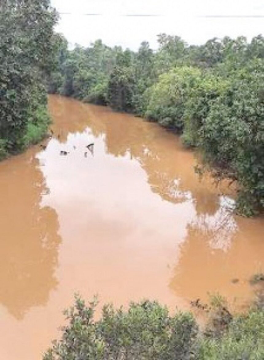 Dudhsagar at Khandepar turns muddy again