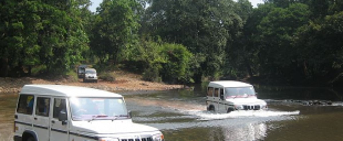 Dudhsagar jeep operators urge Govt to increase  daily trips to 300