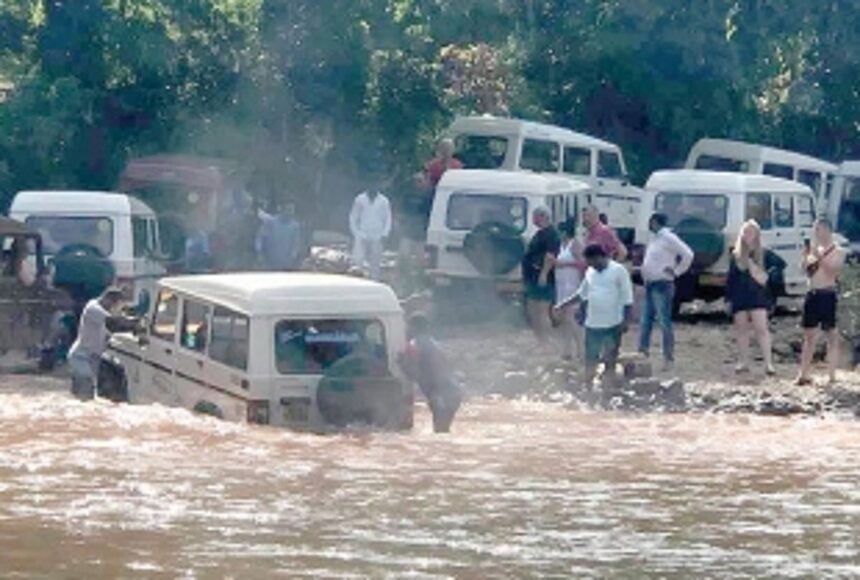 Dudhsagar, proper itinerary required to avoid mishaps