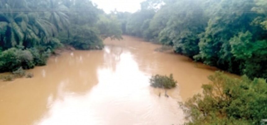 Dudhsagar river at Collem turns muddy, locals worried
