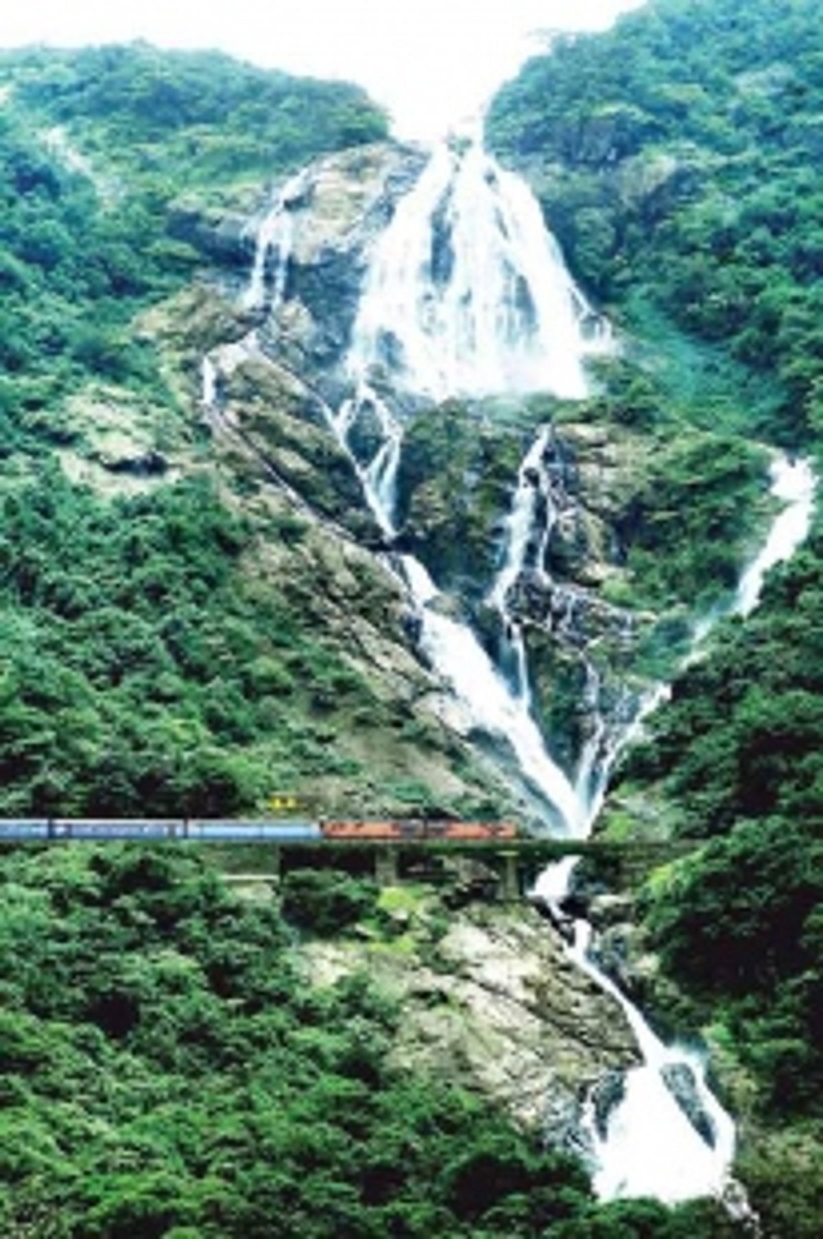 Dudhsagar tour jeeps get Chennai Express blues