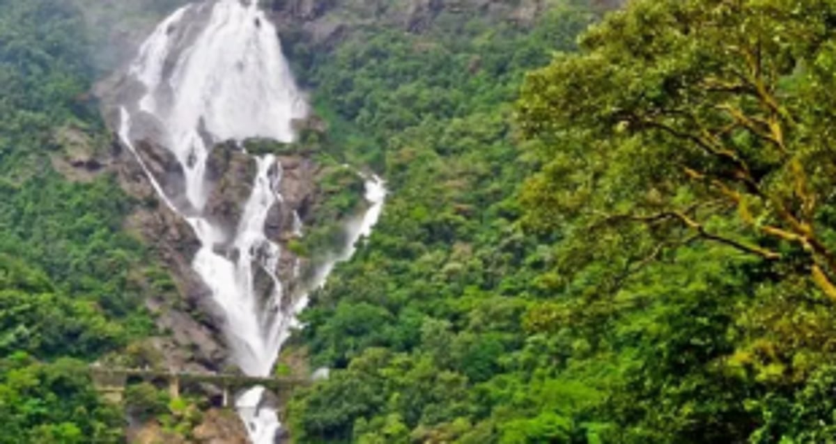 Dudhsagar waterfall to reopen from  Oct 15 for tourists