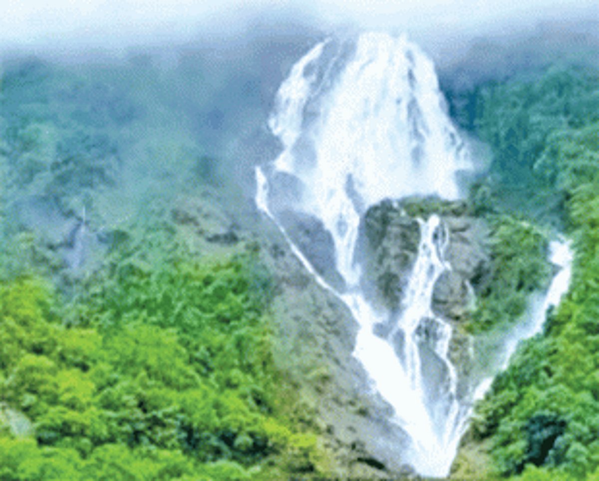 Dudhsagar waterfalls off-limits for tourists, trekkers as Goa govt implements ban
