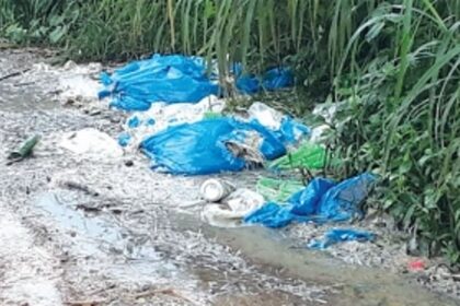 Dumping of chicken waste plagues Goan villages, panchayats seek urgent govt action