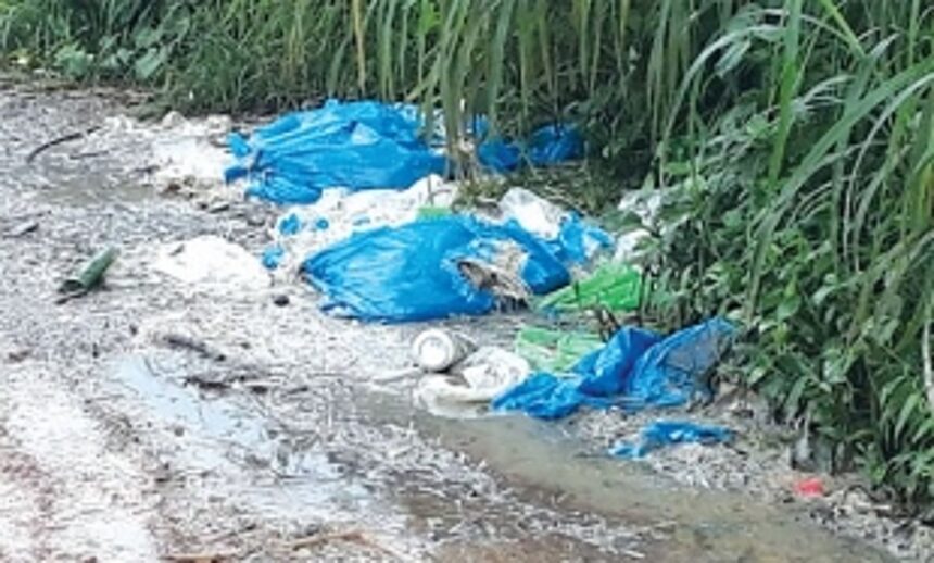 Dumping of chicken waste plagues Goan villages, panchayats seek urgent govt action